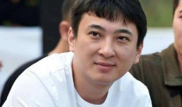 吃瓜娱乐王思聪是谁,王思聪的传奇人生